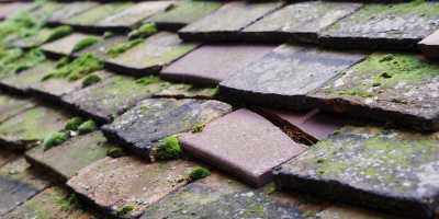 St Arvans roof repair costs